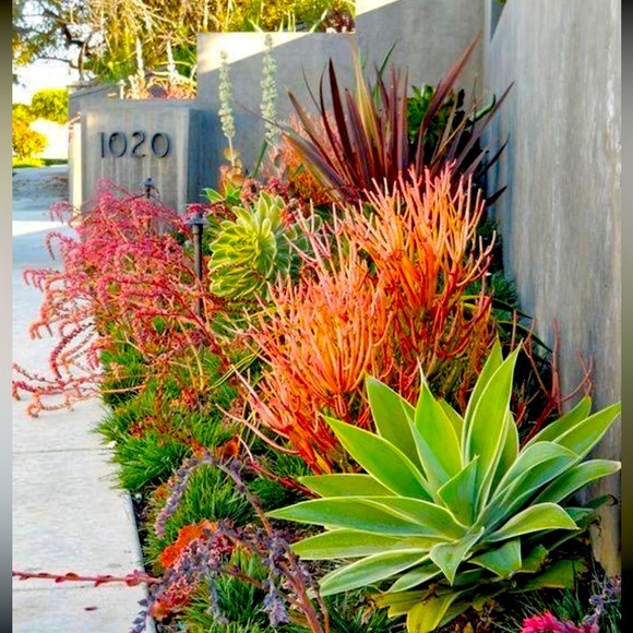 Meet your Posher, Gale - Picture 1 of 1